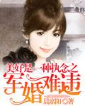 盛世军婚霸爱小妻