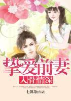 挚爱前妻入骨情深免费阅读小石头