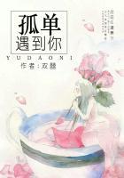 孤单的相遇