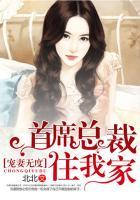 首席宠妻nobody