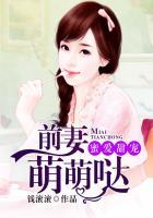 蜜爱甜宠前夫忙追小娇妻