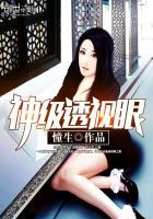 神级透视眼叶寒全文免费阅读
