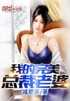 我的完美总裁老婆改编