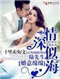 婚久情深陆先生