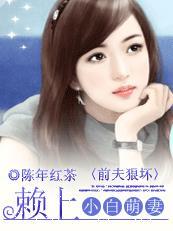赖上总裁前夫