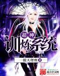精灵之超神训练师