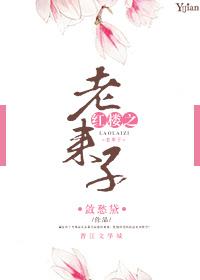 红楼之老来子txt