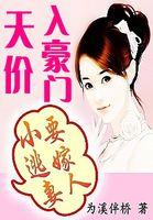 天价逃妻宠上瘾