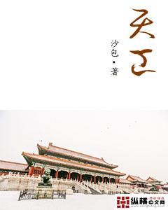 天空之城电视剧主演是谁