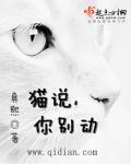 小猫你别吵