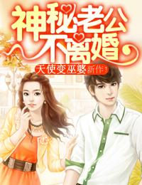神秘老公不离婚连锦瑟