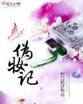 伪妆记结局