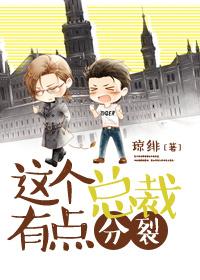 这个总裁有点分裂 琼绯