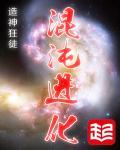 混沌的境界等级划分