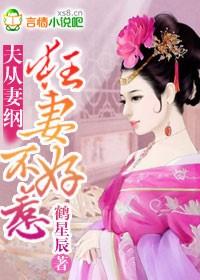 妻从夫化好不好