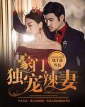 豪门辣妻不好惹