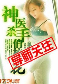 神医杀手在乡村