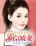 冷面总裁霸道宠妻