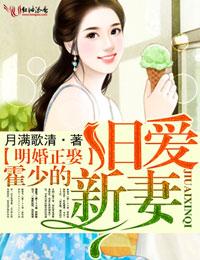 霍少宠妻无下限