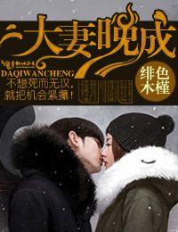 大婚晚辰总裁大人宠上天