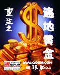 重生之遍地是黄金