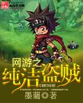 网游之最强盗贼全文