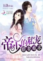 帝少的私宠甜妻全文免费阅读