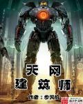 天网建筑师TXT奇书网