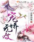 宠娇全文阅读