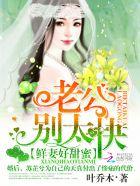 鲜妻好甜蜜老公别太坏TXT