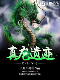 真龙遗迹书籍
